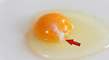 Trứng gà đập ra có sợi trắng đục: Có ăn được không?