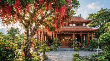 4 loại cây trồng cây càng xanh tươi người càng may mắn giàu có