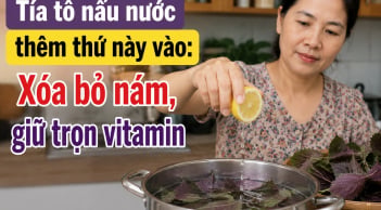Tía tô nấu nước thêm thứ này vào: Xóa bỏ nám, giữ trọn vitamin