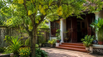 Vì sao người xưa thích trồng cây khế trước nhà?