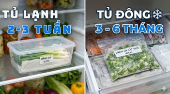Cách bảo quản hành lá tươi lâu đến cả tháng: Giữ nguyên hương vị và dinh dưỡng