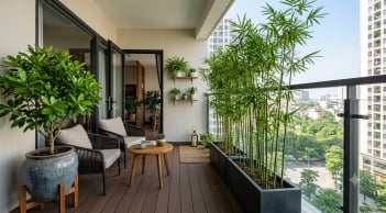 5 loại cây nên đặt ở ban công hướng Tây để vừa mát nhà vừa hợp phong thủy