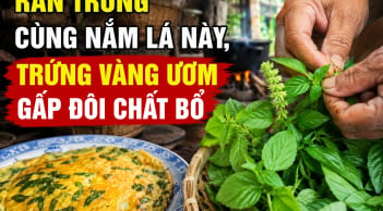 Rán trứng cùng nắm lá này, trứng vàng ươm gấp đôi chất bổ