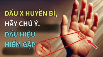 3 dấu hiệu trên lòng bàn tay của người tài ba, may mắn