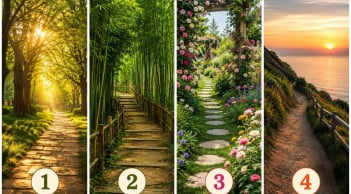 Chọn một lối đi mà bạn cho là bình an nhất: Khám phá khả năng nắm bắt cơ hội của bạn