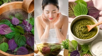 3 cách dùng lá tía tô giúp làm sáng da, hỗ trợ giảm mụn ngoài da và chăm sóc làn da tự nhiên