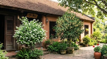 3 loại cây cảnh cho hoa thơm người xưa thích trồng trước nhà: Vừa mang may mắn vừa có giá trị kinh tế