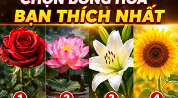 Trắc nghiệm: Chọn bông hoa bạn thích nhất, biết tài lộc tháng này