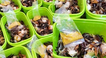 Cách cấp đông cua để nấu canh suốt mùa hè, lúc nào cũng tươi ngon