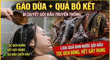 Loại quả đun nước gội đầu tóc đen bóng, hết gãy rụng