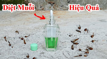 10 cách đuổi muỗi đơn giản, nhà sạch bóng không còn tiếng vo ve