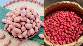 Lạc trắng và lạc đỏ: Nên mua loại nào?