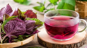 Những người không nên uống nước lá tía tô: Càng uống càng hại