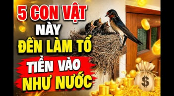 5 con vật vào nhà Thần Tài Mang Lộc Tới: Đừng dại đuổi đi kẻo mất lộc