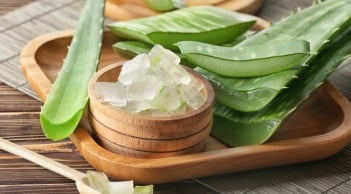 Công thức gel dưỡng từ nha đam và húng quế hỗ trợ chăm sóc da mụn tại nhà