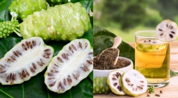 Quả nhàu rất tốt nhưng 3 nhóm người này không nên dùng