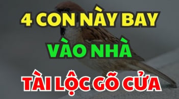 4 con vật tượng trưng cho Thần Tài chúng vào nhà bạn mang nhiều may mắn