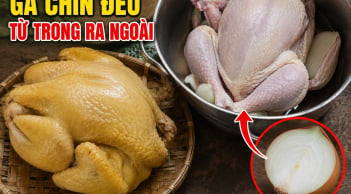 Luộc gà không cần nước, cho nửa củ này vào nồi gà chín đều từ trong ra ngoài