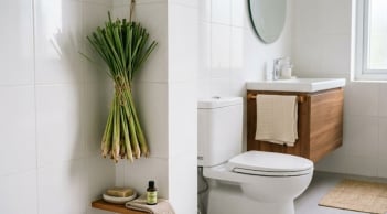 Mẹo khử mùi hôi nhà vệ sinh, không cần sáp thơm