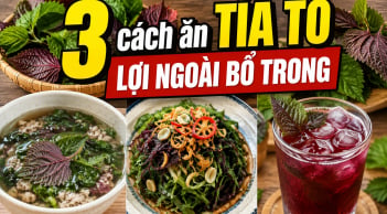 3 cách ăn tía tô lợi ngoài bổ trong