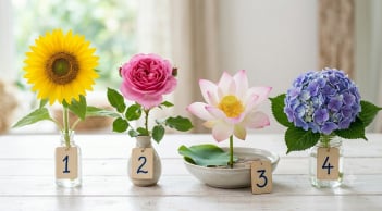 Chọn một bông hoa bạn thích nhất, xem điều gì sắp đến với bạn trong tháng 8