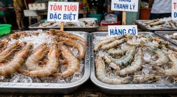 Chủ quầy hải sản 20 năm cảnh báo: 5 loại tôm rẻ mấy cũng đừng mua, nhiều người vẫn vô tư chọn