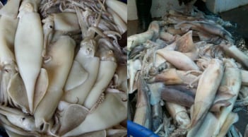 Thấy mực có 5 dấu hiệu này, tuyệt đối không mua