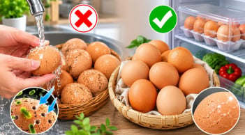  Vì sao không nên rửa trứng trước khi cất?