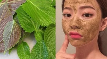 Cách sử dụng lá tía tô đúng để phát huy hiệu quả làm đẹp