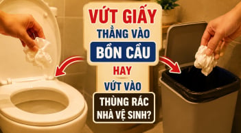 Vứt giấy thẳng vào bồn cầu hay vứt vào thùng rác nhà vệ sinh?