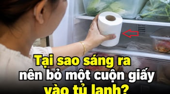 Tại sao sáng ra nên bỏ một cuộn giấy vào tủ lạnh?