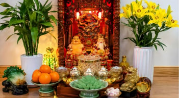 Đặt cây cảnh phong thủy ở ban thờ Thần Tài: Nhất định phải biết điều này