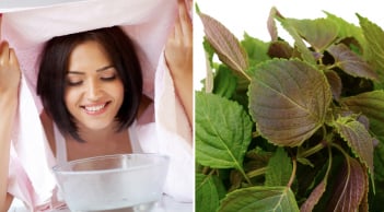 Xông mặt bằng lá tía tô có thực sự tốt? Những điều cần biết để tránh gây hại cho làn da