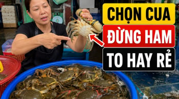 Chọn cua đừng ham to hay rẻ, thấy thứ này người bán cho cũng đừng ham