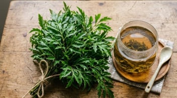 Cách uống nước lá đinh lăng tốt người hay trằn trọc, mất ngủ