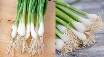 Phần rễ hành lá không phải đồ bỏ đi, giữ lại có lợi ích đặc biệt