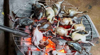 Ếch òn: Món ăn miền Trung nhìn thì sợ nhưng ăn một lần là ghiền
