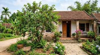 2 cây tuyệt đối đừng trồng trước cửa kẻo tán lộc, dời ra sau nhà lại càng ở càng giàu!