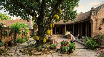 5 lý do nên trồng ngay một cây mít trong vườn nhà: Vừa hút tài lộc, vừa thu lợi đủ đường