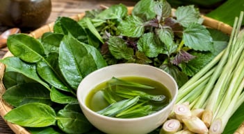Cách dùng 3 loại lá phổ biến để gội đầu giúp sạch gàu, mượt tóc, hỗ trợ mọc tóc con