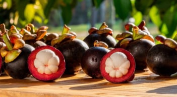 Tại sao nhiều khách sạn không cho mang quả măng cụt vào phòng?