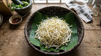 Thường xuyên ăn giá đỗ, cơ thể nhận được 5 lợi ích tuyệt vời này