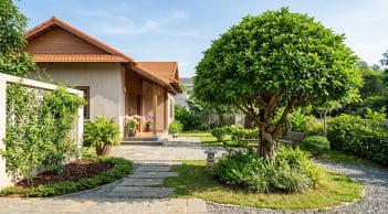 Cây sung nên trồng trước hay sau nhà? Vị trí nào được người xưa coi là đẹp?