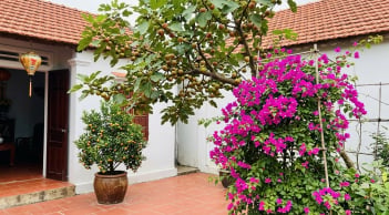 Người xưa dặn: 5 loại cây nên trồng trước nhà, vừa đẹp vừa mang ý nghĩa tốt lành