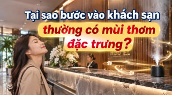 Tại sao bước vào khách sạn thường có mùi thơm đặc trưng?