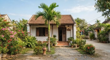 Tại sao ông bà ta lại nói 'Trước cau sau chuối'?
