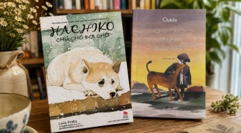 Chó trung thành: Chú chó vùng Flanders và Hachiko chú chó đợi chờ