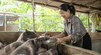 Phụ nữ tự chủ tài chính bằng việc tham gia BHXH, vay vốn kinh doanh