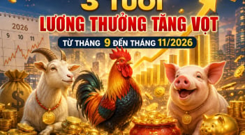 3 tuổi lương thưởng tăng vọt từ tháng 9 đến tháng 11/2026