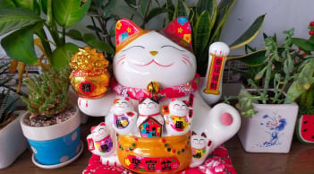 Mèo thần Tài vẫy tay nên đặt hướng ra cửa hay hướng vào trong?